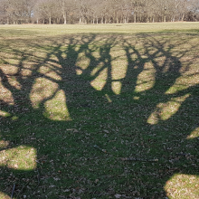 Scary shadow!