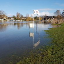 floody ferry