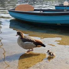 Paddling with mum