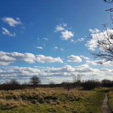 Big sky