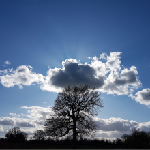 Sky Bushy Park