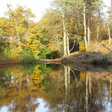 Middle Pond