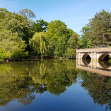 Whiteley pond